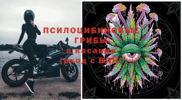 ПСИЛОЦИБИНОВЫЕ ГРИБЫ Киренск