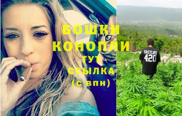 прущая мука Кинешма