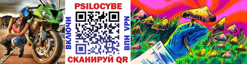 Купить закладки  Болгар  Галлюциногенные грибы GOLDEN TEACHER 